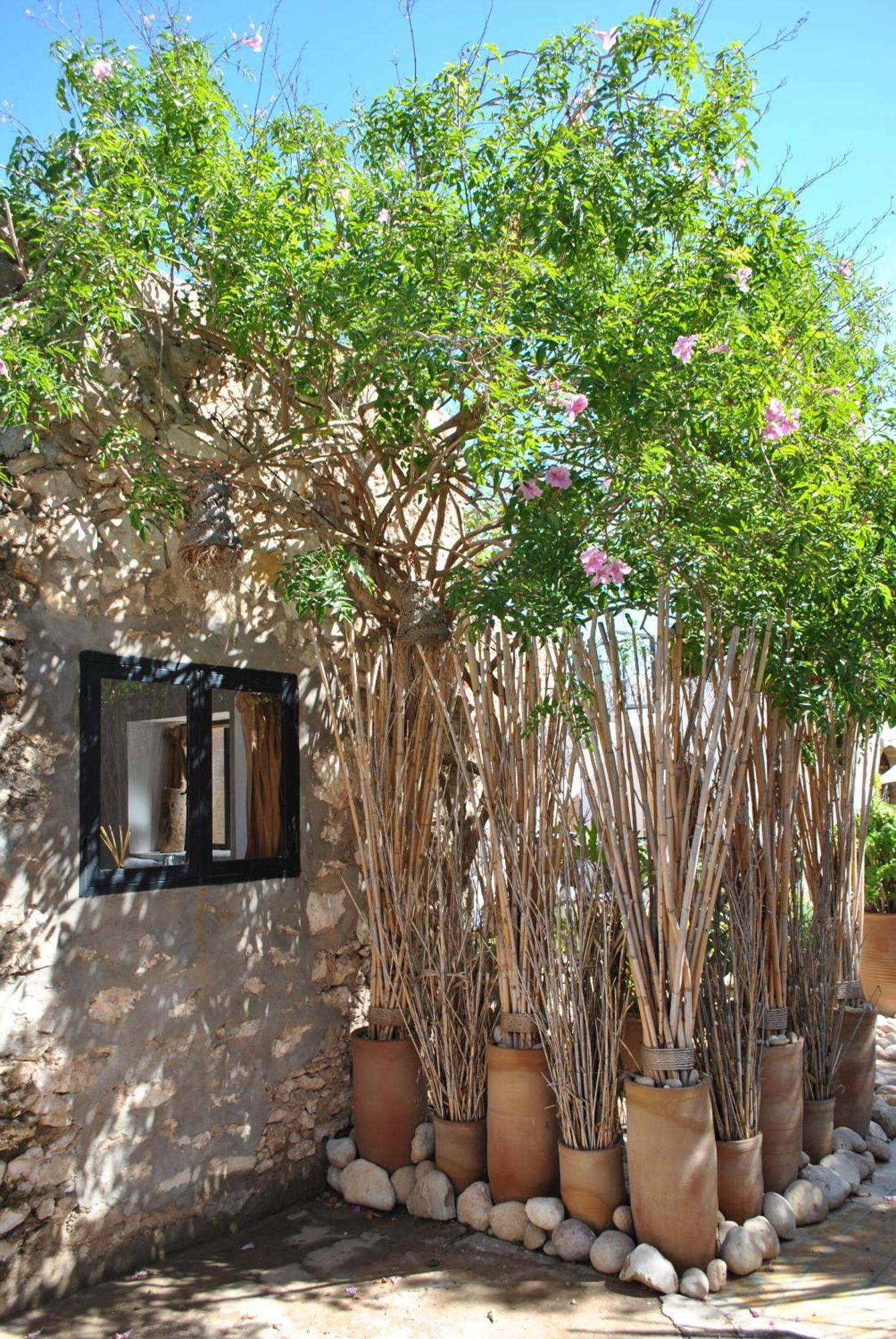 Maison Sidi Et Lalla Essaouira Eksteriør bilde