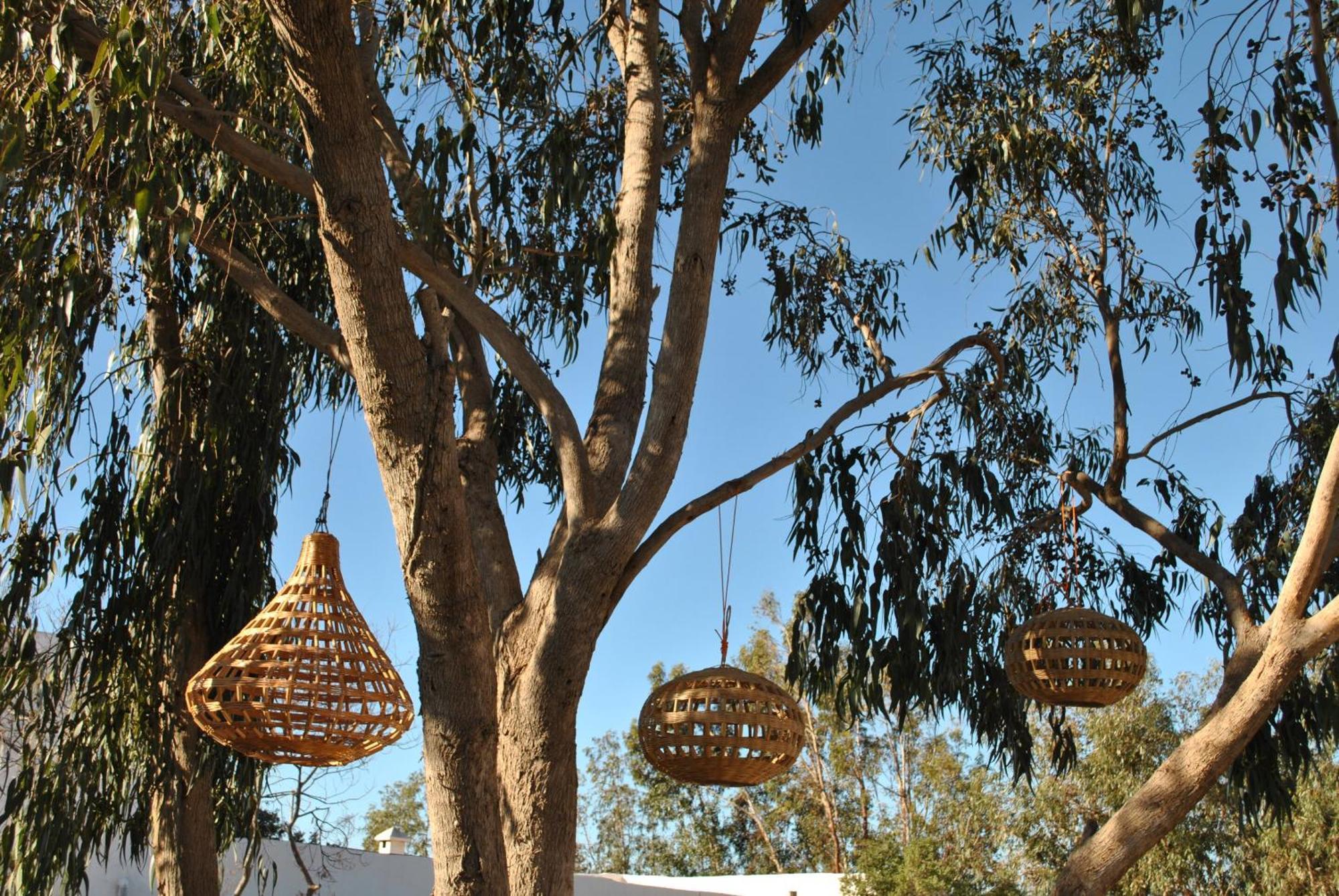 Maison Sidi Et Lalla Essaouira Eksteriør bilde